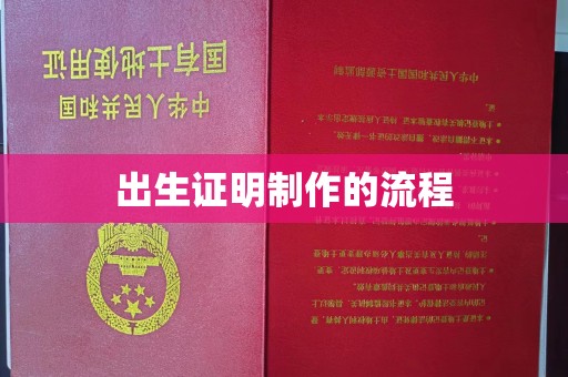 凤庆出生证明制作的流程