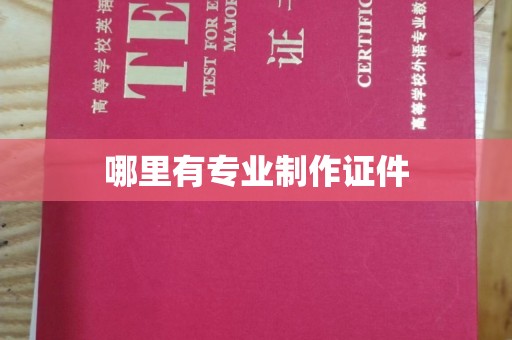 凤庆哪里有专业制作证件